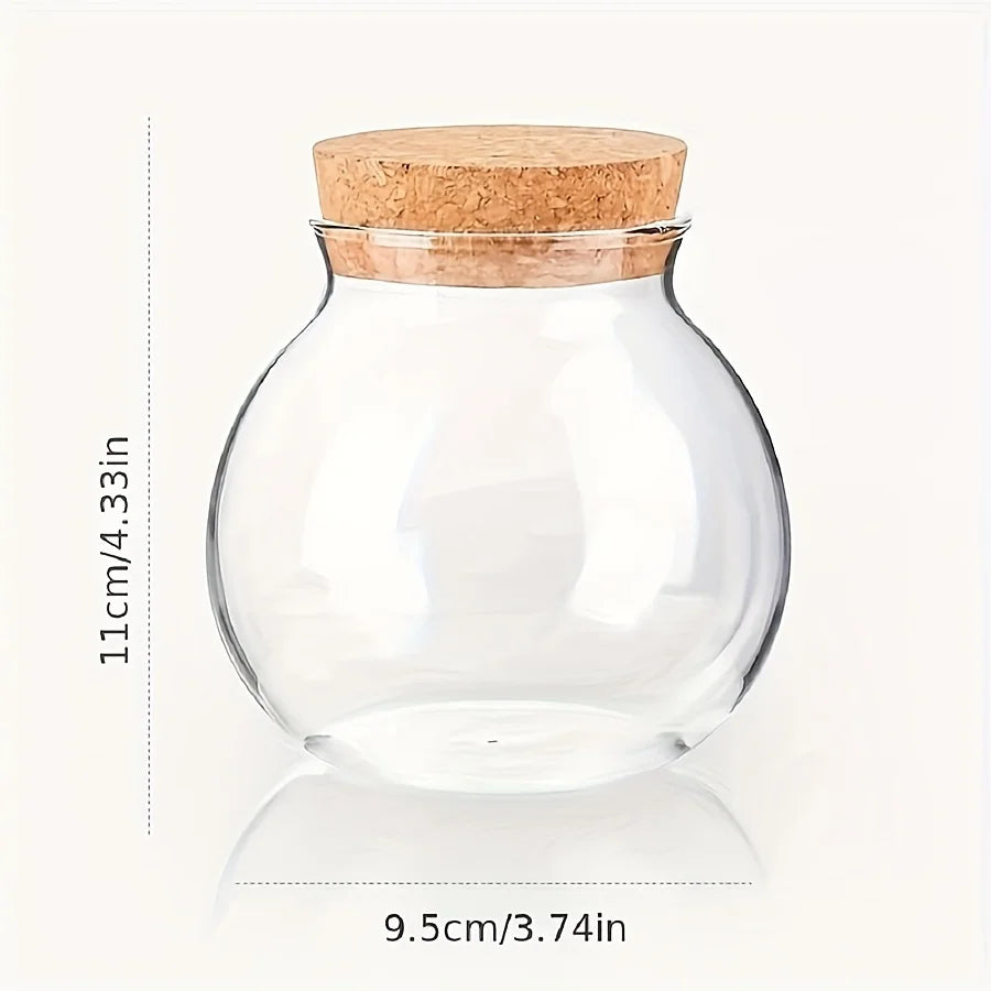 Ovelle Round Glass Canister | Decorative Kitchen Storage Jar